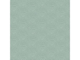 wCR[   L 50 002411039