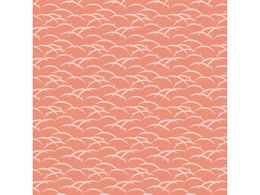 wCR[   䂭  50 002411041