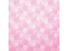 wCR[   Xeb`[Y LP 100 002312713