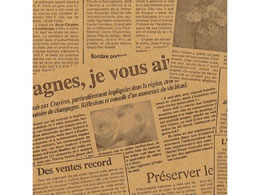 wCR[   N ^[t[ Œ 100 002335581