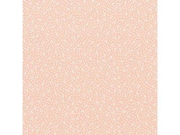 wCR[   ̂ Ȃł 100 002336000