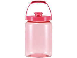 �^�P�����w�H�� �v���X�`�b�N �J���[�ʎ����т� R�^ 2.4L �s���N