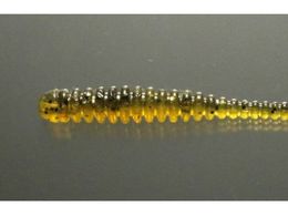 issei CY VL[Vbh 2 #Gr