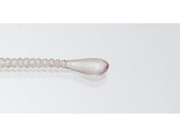 issei CY Xpe 2 #035 PCC{[