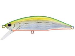 �W���N�\�� ���e�I�[�� 80 #LGG �S�[���h�O���[���I�����W�x���[