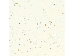 wCR[ a _U  50 002107602