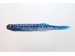 issei CY J^N`[ 4.5 #025 CV