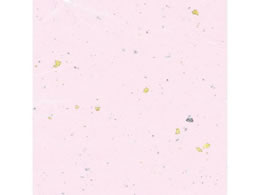 wCR[ a _U  50 002107604