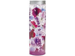 vۍHƏ n[oEtOXr[Y x_[E[