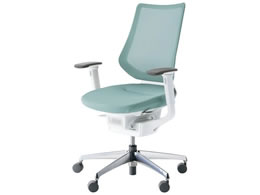 RN CO bVw^[RCY IL W CRGA3413E1G439W