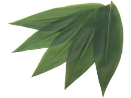 EBM ���������O 200���� ��90�~320 5582930