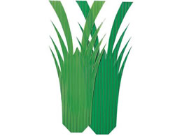 ���n�� �o���� �C�V�^1�� 1000���� 7866800