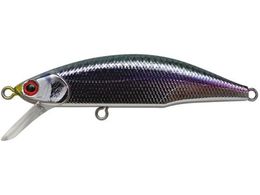 �W���N�\�� ���e�I�[�� 52 CGP �┓