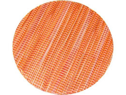  vi[R[X^[10 GM-66 IWXgCv 3547780