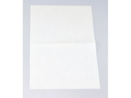 I x V[gp Ȃ 1000 RS-001 4674060