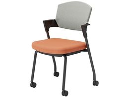 RN cCX vbeB LX^[^Cv K17B22CW0YE22