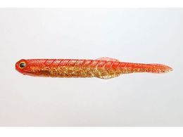 issei CY J^N`[ 4.5 #028 AJL