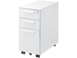 TTvC Lrlbg W300~D534~H600 zCg SNW-107W