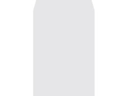 LOR[|[V p2 80g X~\ zCgPg 500 080414