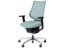 RN CO bVw^[RCY IL W CRGA3413E6G439W