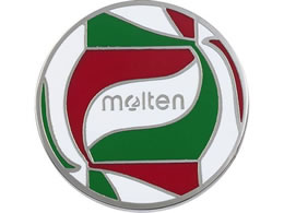 �����e�� �g�X�p�R�C�� CNVM