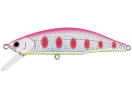 �W���N�\�� ���e�I�[�� 80 #SPY �s���N���}��