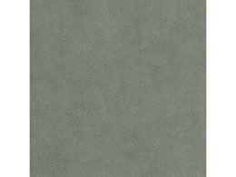 wCR[ bNXy[p[ 75~50 [J 50 002110316