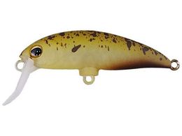 WbJ TM uu~m[(F) #GhXPpvL