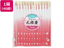 aY ԓaAXy\ 100V~40 20909