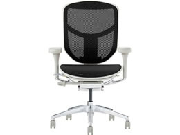 Ergohuman GSq[} GWC2 [^Cv ubN 389607