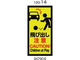 ���b�`�F�� �ʔ� 120-14(��яo������) 94790