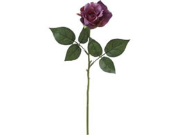 roH|  VE-6722 j[GU[ p[v 65-672298-0