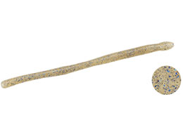 fI AXON[[3.8 F030 XWGr