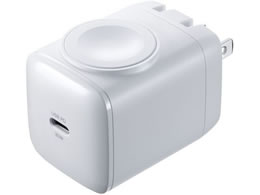 TTvC USB PDΉAC[d(PD30W) ACA-PD101