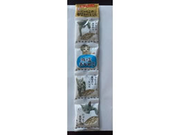 �ؑ����� ���������Ⴑ 4g�~4�A