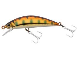 WbJ TM gR[ 47HW #HLRbp[}BH