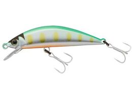 WbJ TM gR[ 47HW #t}BH