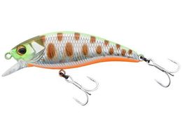 WbJ TM gR[ 55S #tbV`[g}