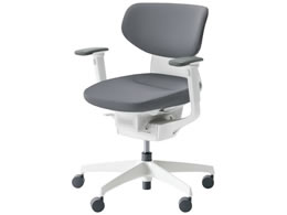 RN CO NbVwD IL WLX^[ CRGW3211E1G4E3W