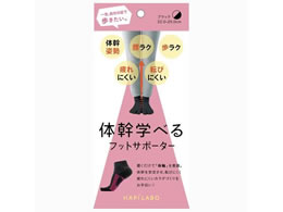 �A���t�@�b�N�X �n�s���{�̊��w�ׂ�t�b�g�T�|�[�^�[ �u���b�N 441816