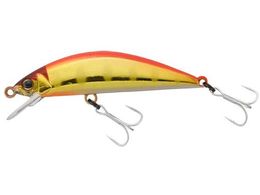 WbJ TM gR[ 55HW #ԋ}