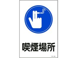 �Ώ\�� �C���X�g�W�� �i���ꏊ �T�C��-103 450�~300mm �G���r