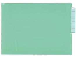 ���q�g���u �J���e�t�H���_�[ �V���O���|�P�b�g A4 50�� �N���X�^���O���[��