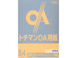 SAKAEeNjJy[p[ ɌJ[PPC B4 XL 50~5