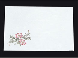 �A�[�e�b�N �ڎO ���΂܂��� �R�ۉ��Ԙa��100�� �S��