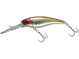 WbJ JK \EVbh 62DR-SP #HLtbVNE