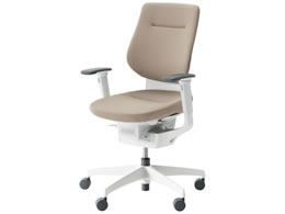 RN CO NbVwO[W IL V CRGW3213E1G4MAV