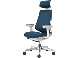 �R�N�� �`�F�A �f���I��2 �A���~�r �N�b�V���� �l�C�r�[