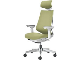 �R�N�� �`�F�A �f���I��2 �A���~�r �N�b�V���� �O���X�O���[��