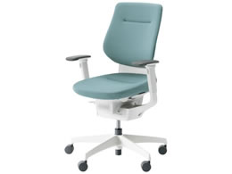 RN CO NbVw^[RCY IL V CRGW3213E1G439V